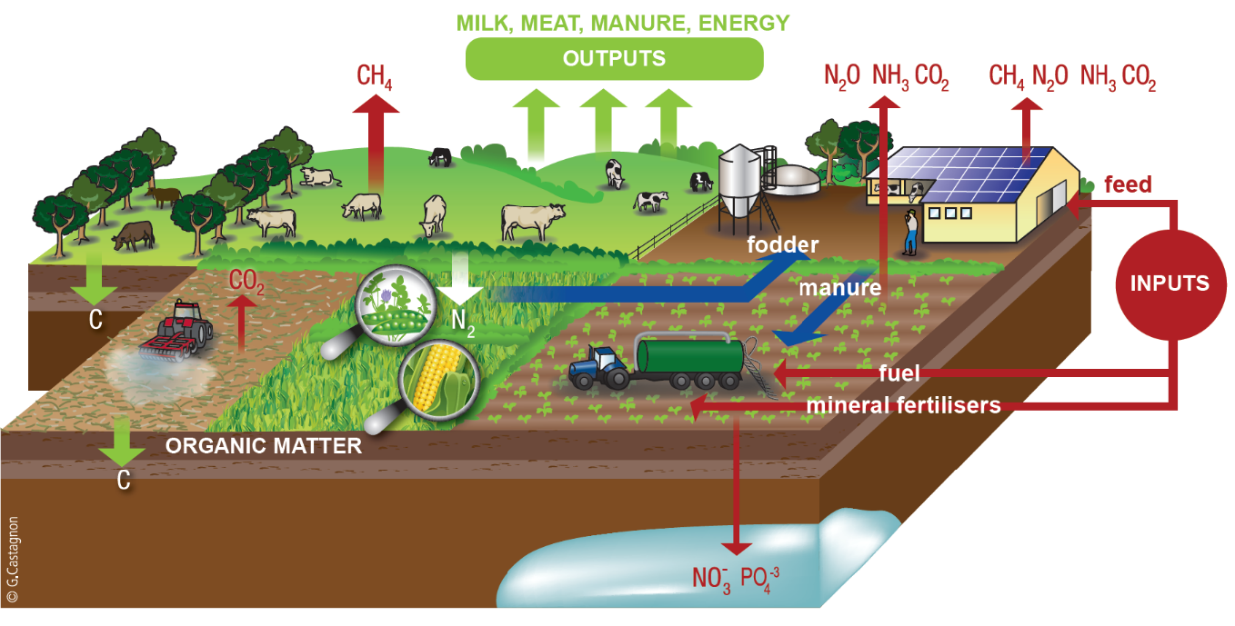 materiaal- en energieflux in melkveesysteem